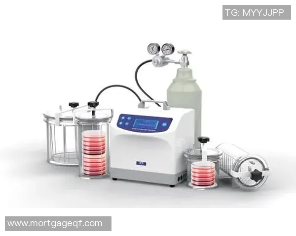 探索Fengyue辅助保护的创新技术与应用前景分析 探索Fengyue辅助保护的创新技术与应用前景分析