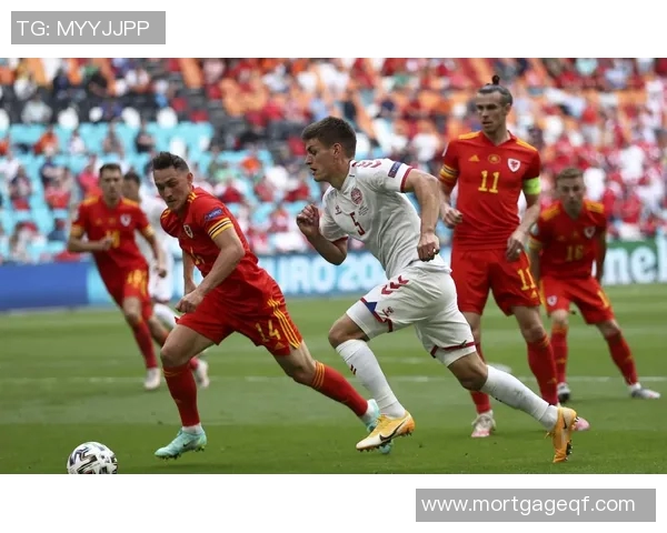 欧洲杯：威尔士队遗憾出局，满腔热血铸就绿茵传奇